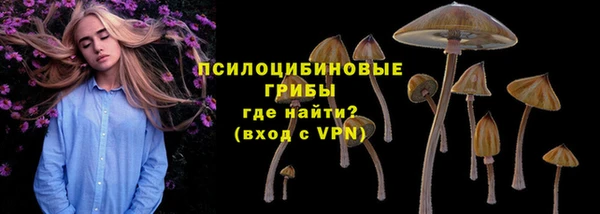 дмт Зеленодольск