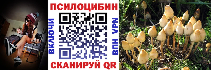 Галлюциногенные грибы Magic Shrooms  Купить  Киселёвск 